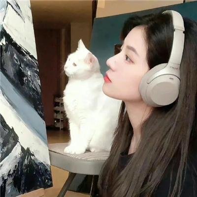 选举潮